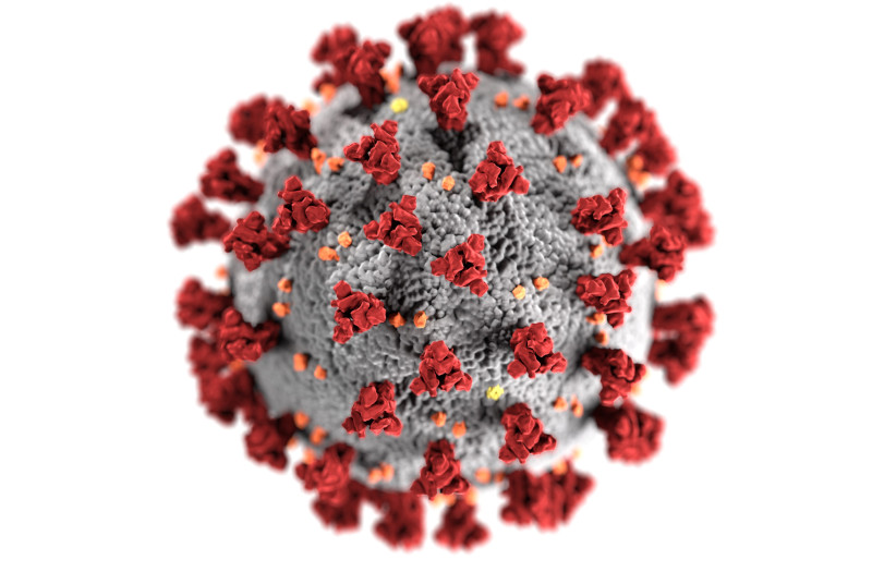 CDC Coronavirus image